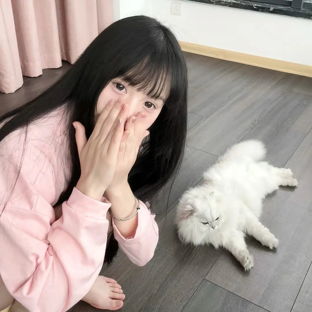 爱尔兰之美 在线观看